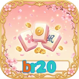 br20